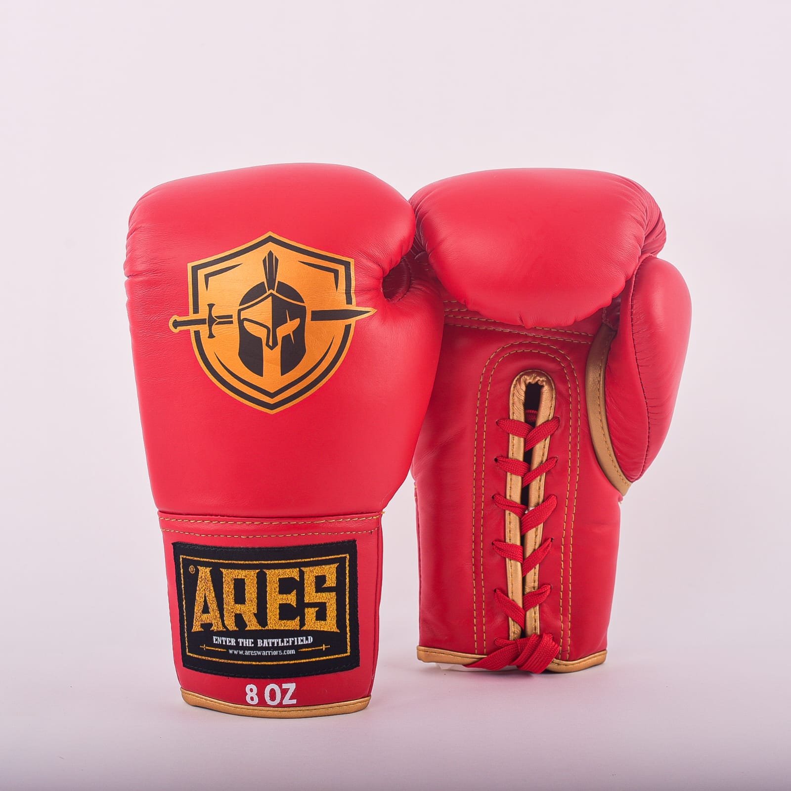 Ares Warriors Boxing Gloves (Laceup) - Image 2