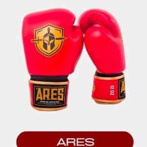 Ares Warriors Boxing Gloves (Velcro Strap)